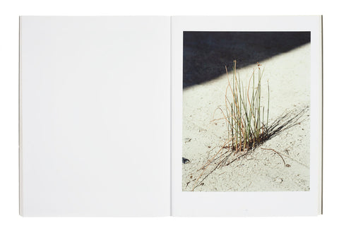 Veramente Guido Guidi - MACK