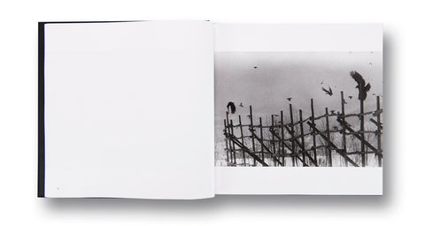 Ravens Masahisa Fukase - MACK