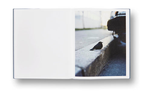 ZZYZX Gregory Halpern (First edition, signed) - MACK