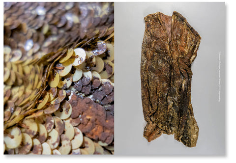 Dirty Looks: Desire and Decay in Fashion
