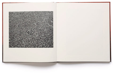 she dances on Jackson Vanessa Winship - MACK