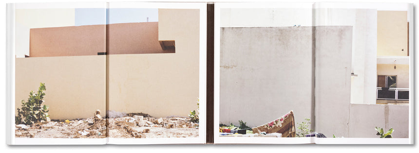 The Citadel: a trilogy <br> Mame-Diarra Niang
