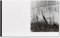 They were my Landscape <br> Phoebe Kiely - MACK