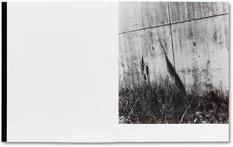 They were my Landscape  Phoebe Kiely - MACK
