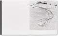 They were my Landscape <br> Phoebe Kiely - MACK