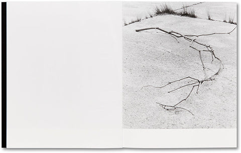 They were my Landscape  Phoebe Kiely - MACK