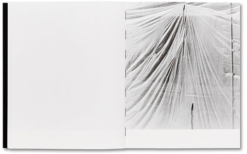 They were my Landscape  Phoebe Kiely - MACK