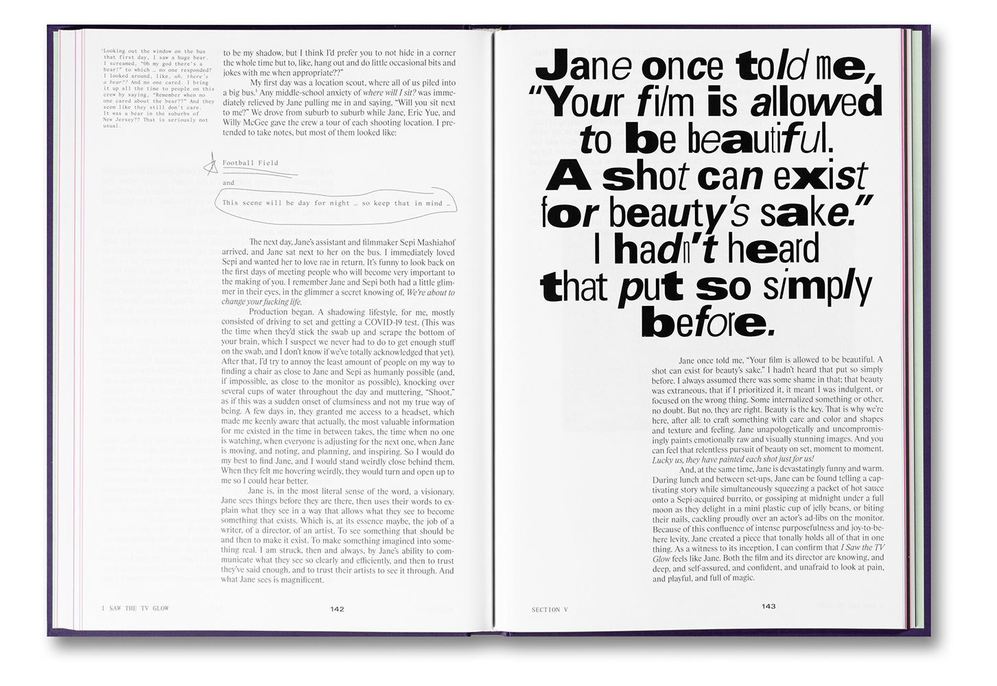I Saw the TV Glow Screenplay Book