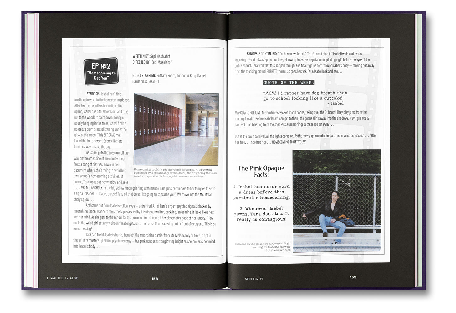 I Saw the TV Glow Screenplay Book