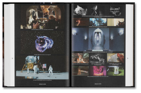 The Encyclopedia of Movie Cats: An A-Z of Felines On Screen