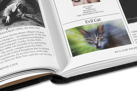 The Encyclopedia of Movie Cats: An A-Z of Felines On Screen