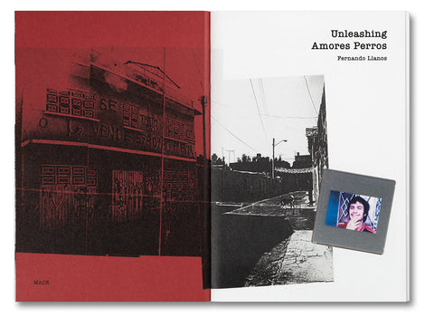 Unleashing Amores Perros