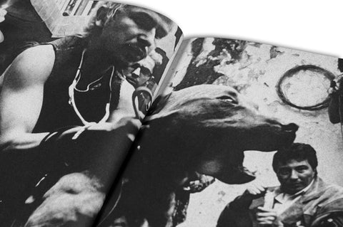 Unleashing Amores Perros