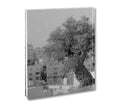 Cover of "Anchor in the Landscape" photography book by MACK, featuring an outdoor landscape scene with an anchor symbol.