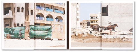 The Citadel: a trilogy - MACK