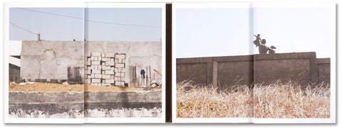 The Citadel: a trilogy - MACK