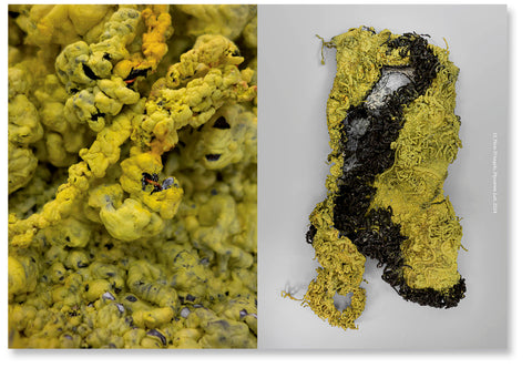 Dirty Looks: Desire and Decay in Fashion