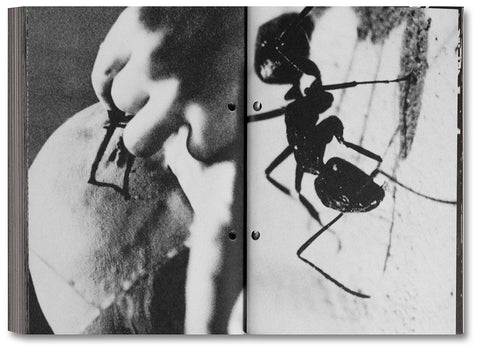 Pi: The Guerilla Diaries - MACK