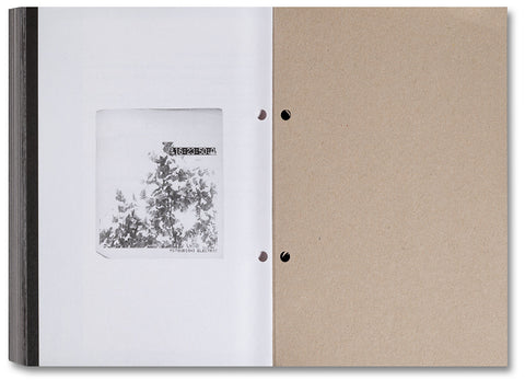 Pi: The Guerilla Diaries - MACK