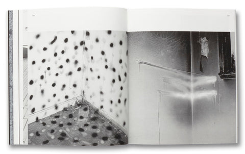 a Handful of Dust (First edition)  David Campany - MACK