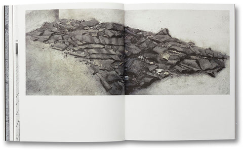 a Handful of Dust (First edition)  David Campany - MACK