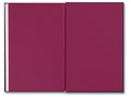 Open book titled "I Saw the Sun" by MACK, featuring colorful illustrated pages on a white background.
