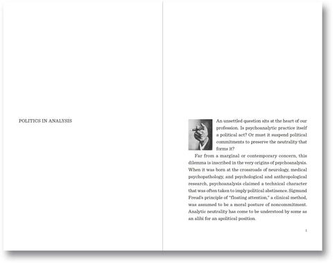 Case by Case: Psychoanalysis and the Political