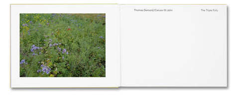 The Triple Folly - MACK