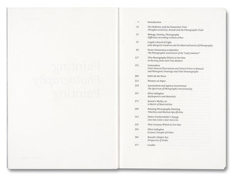 Painting Photography Painting: Selected Essays