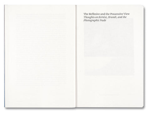 Painting Photography Painting: Selected Essays