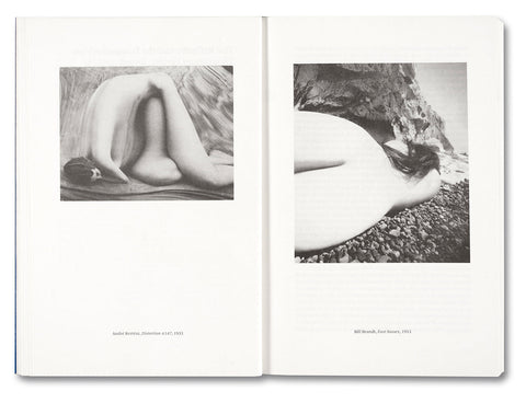 Painting Photography Painting: Selected Essays