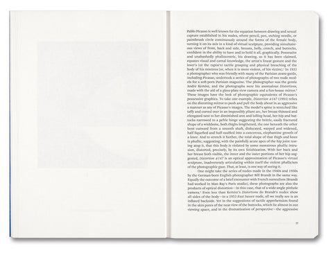 Painting Photography Painting: Selected Essays