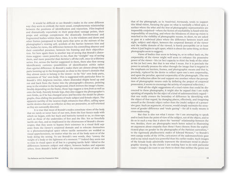 Painting Photography Painting: Selected Essays