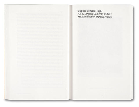 Painting Photography Painting: Selected Essays