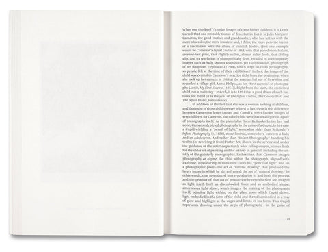 Painting Photography Painting: Selected Essays