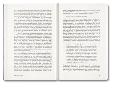 Painting Photography Painting: Selected Essays