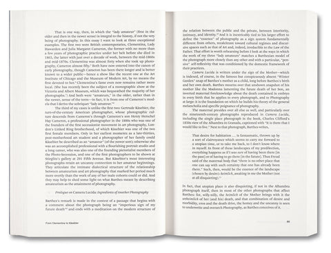Painting Photography Painting: Selected Essays