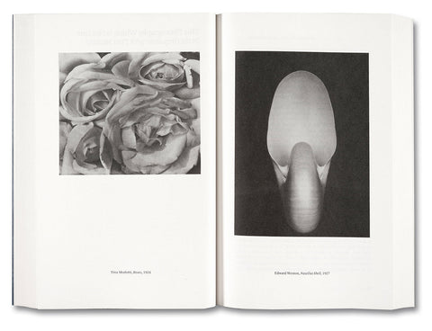 Painting Photography Painting: Selected Essays