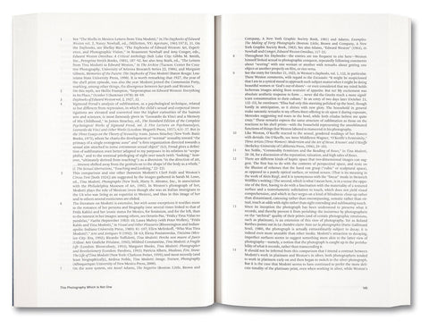 Painting Photography Painting: Selected Essays