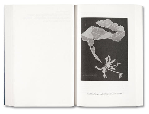 Painting Photography Painting: Selected Essays