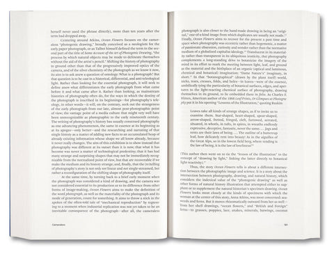 Painting Photography Painting: Selected Essays