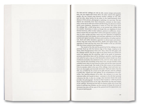 Painting Photography Painting: Selected Essays