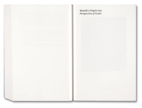 Painting Photography Painting: Selected Essays