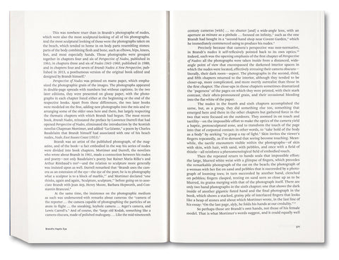 Painting Photography Painting: Selected Essays