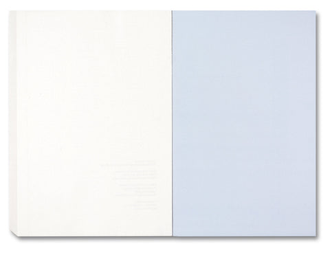 Painting Photography Painting: Selected Essays