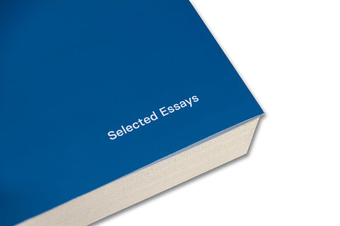 Painting Photography Painting: Selected Essays