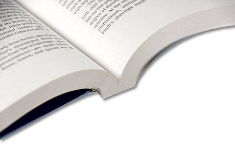 Painting Photography Painting: Selected Essays - MACK