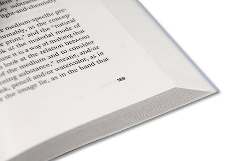 Painting Photography Painting: Selected Essays