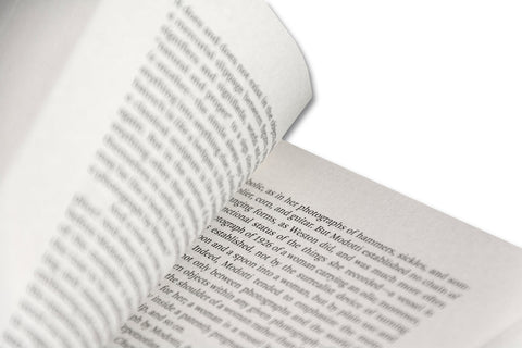 Painting Photography Painting: Selected Essays