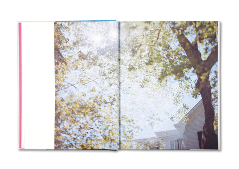 Who is Changed and Who is Dead - MACK